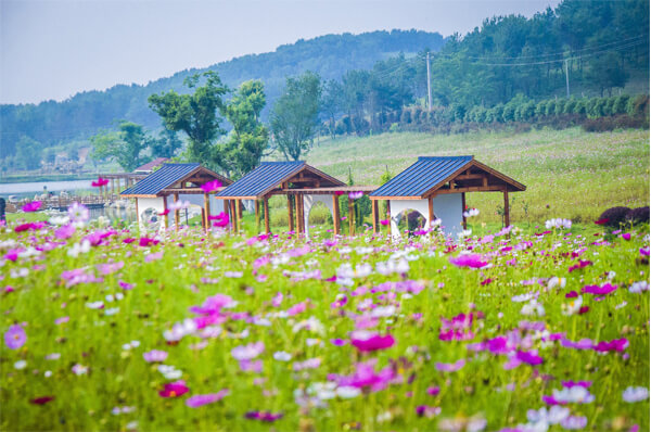 武漢木蘭草原露營團(tuán)建活動策劃