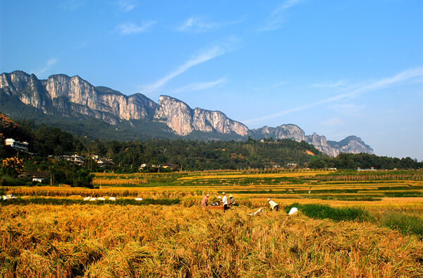 2-拷貝.jpg