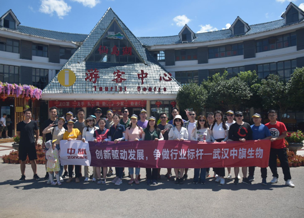 武漢中旗生物醫(yī)療電子有限公司