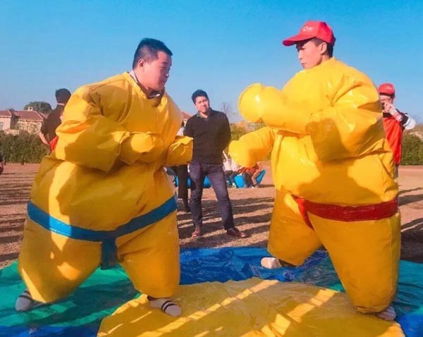 相撲達人